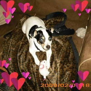 Meet your Posher, Jane